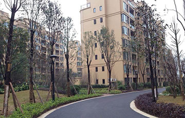 Z6·尊龙「中国区」官方网站